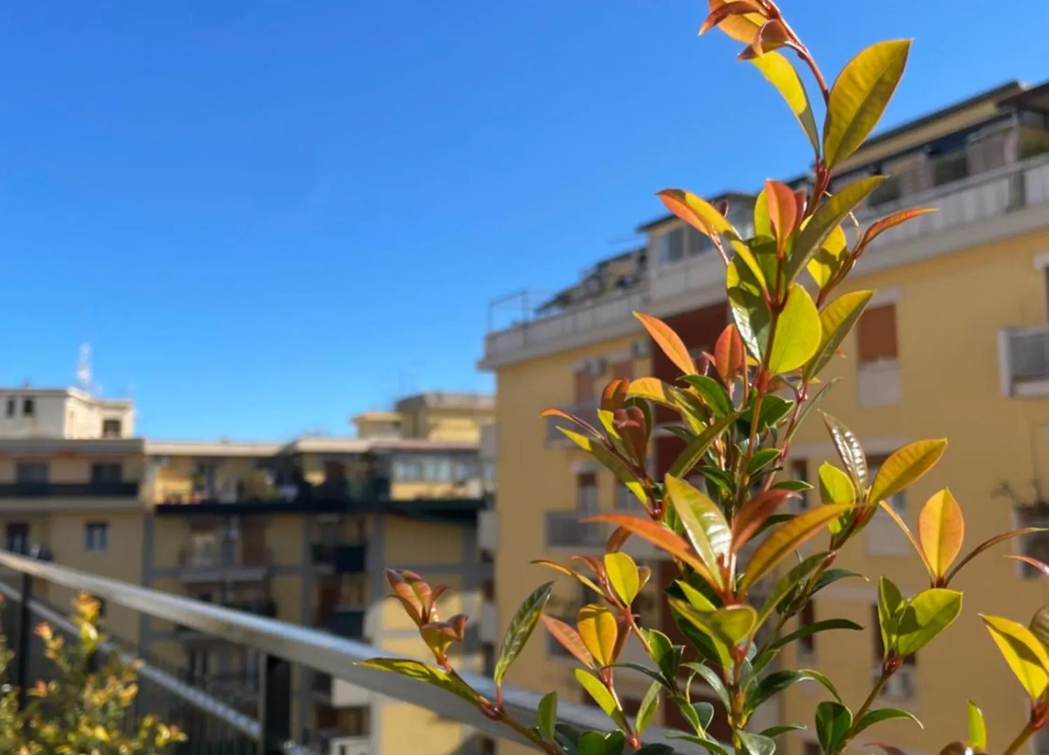 Terrazza L Emiro Casa Vacanze Apartment Palermo